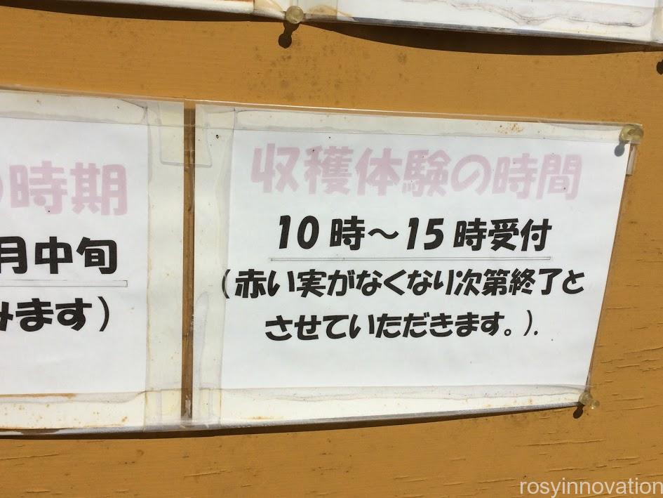 ノースヴィレッジのいちご狩り６　時間